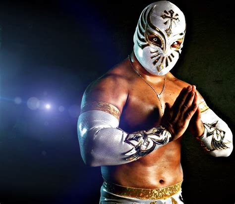 imagenes de luchadores